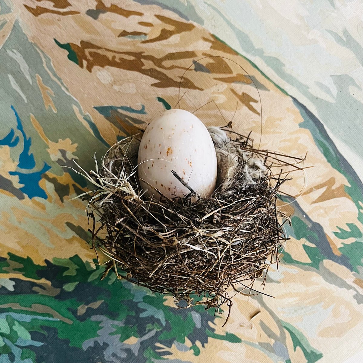 White speckled egg soap nestled in small twig nest on floral fabric