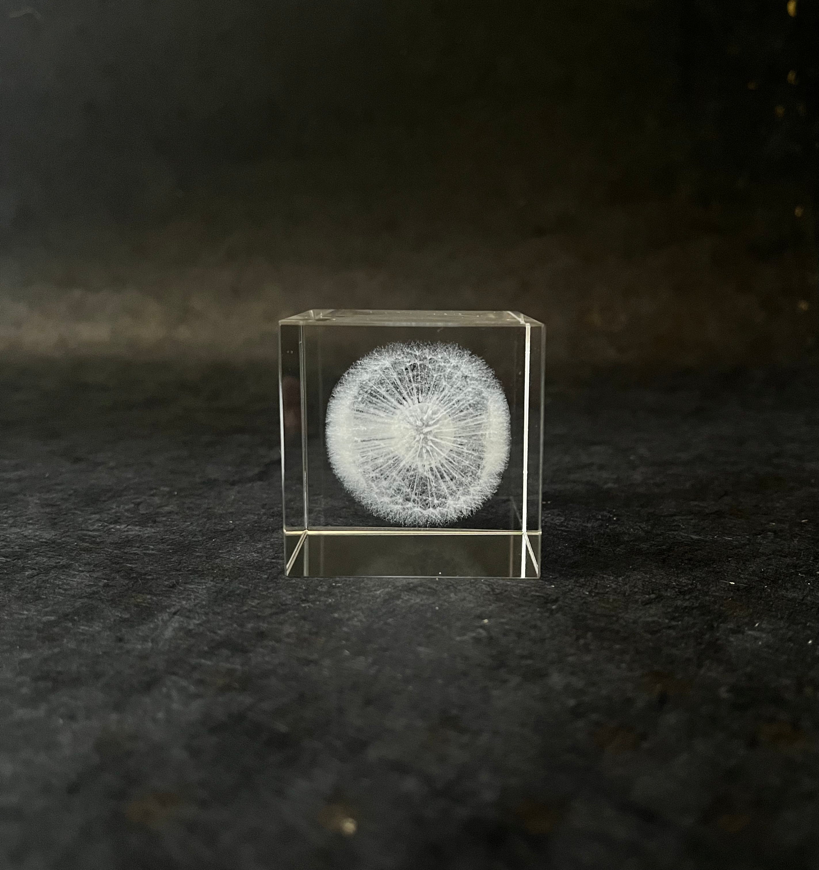 Dandelion Hologram