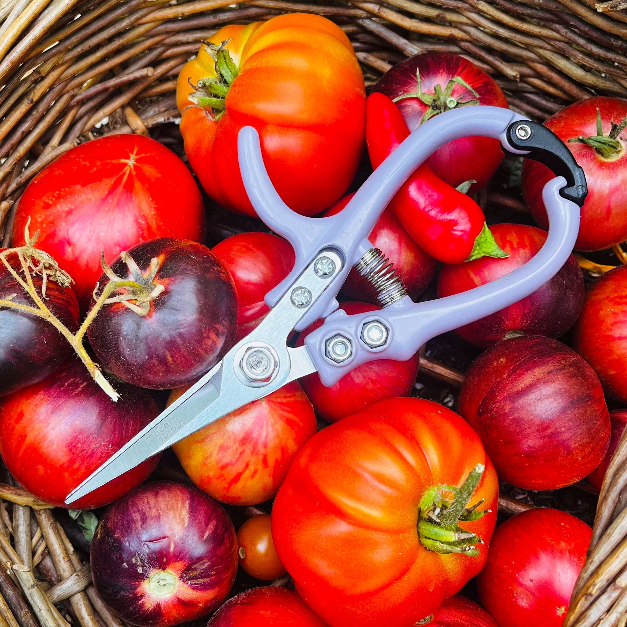 garden shears
