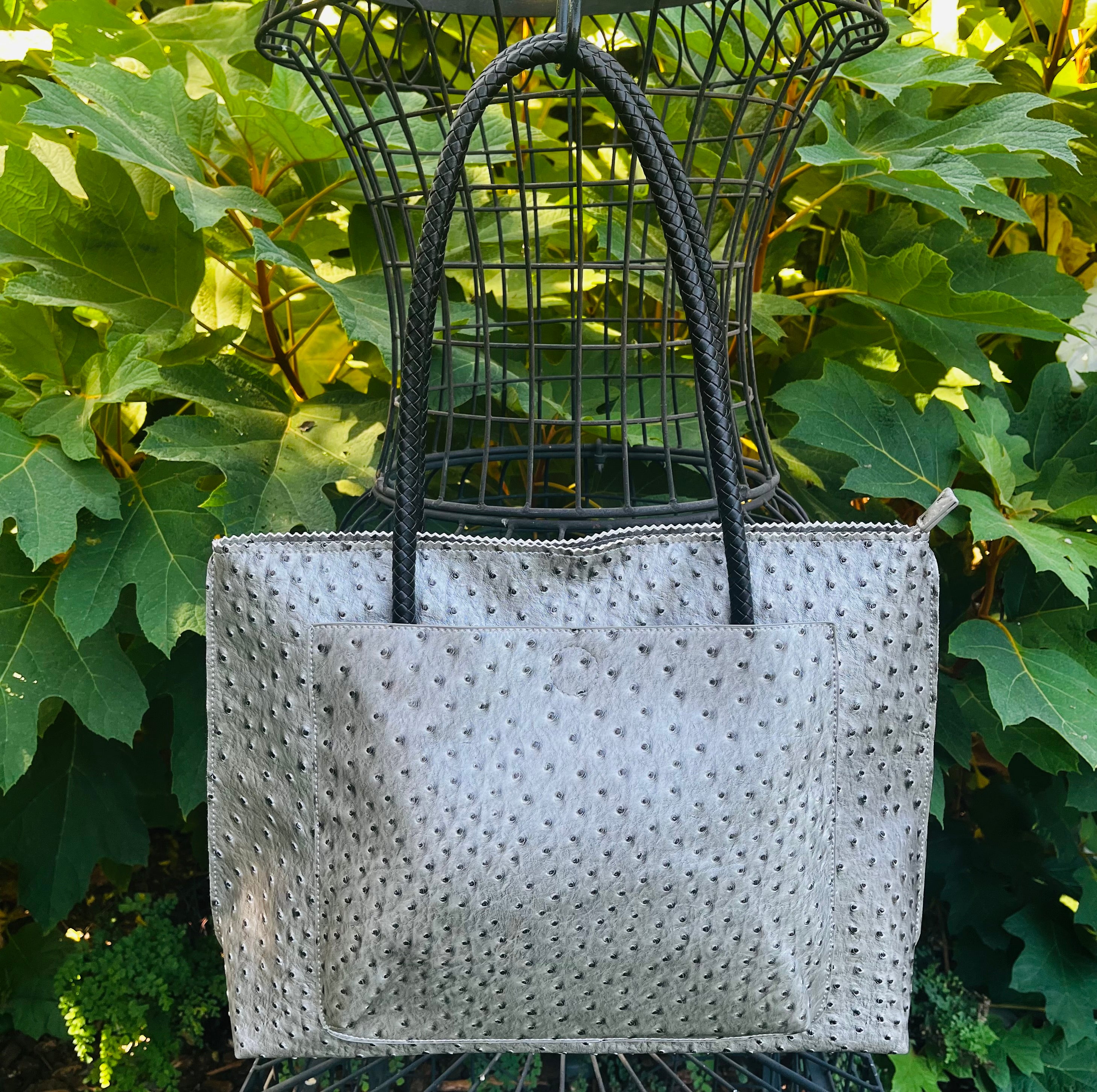 the almost Ostrich bag