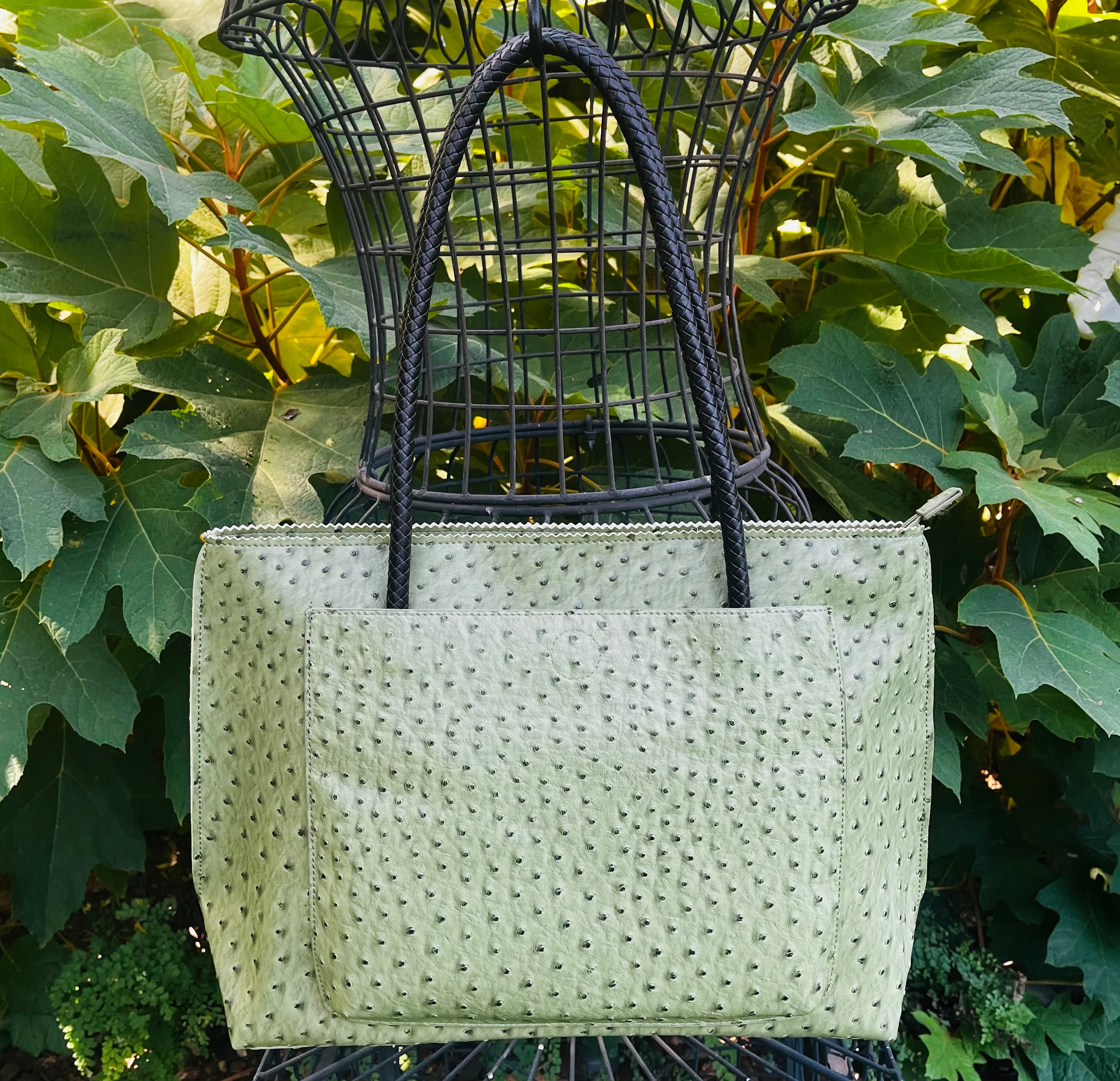 the almost Ostrich bag