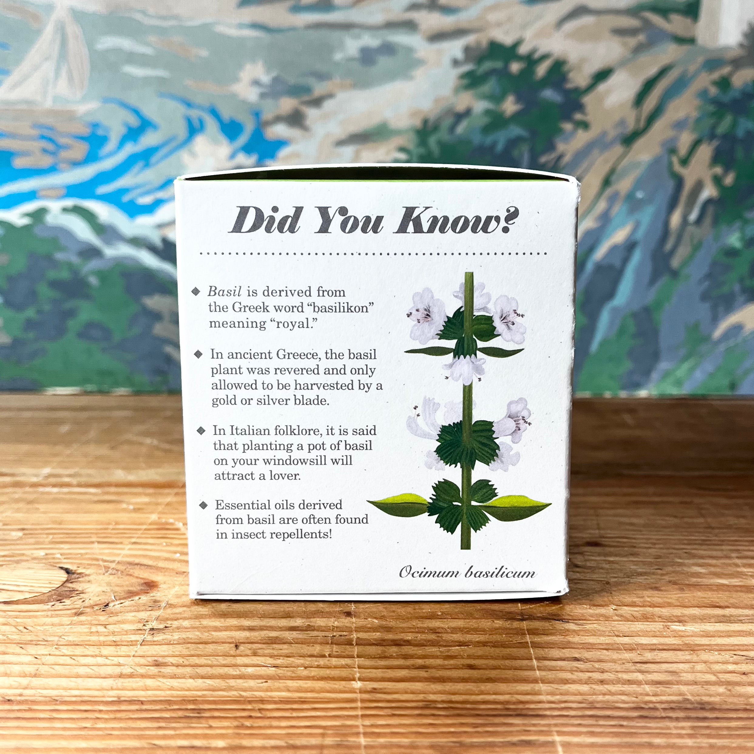 PLANT THE BOX  Candle