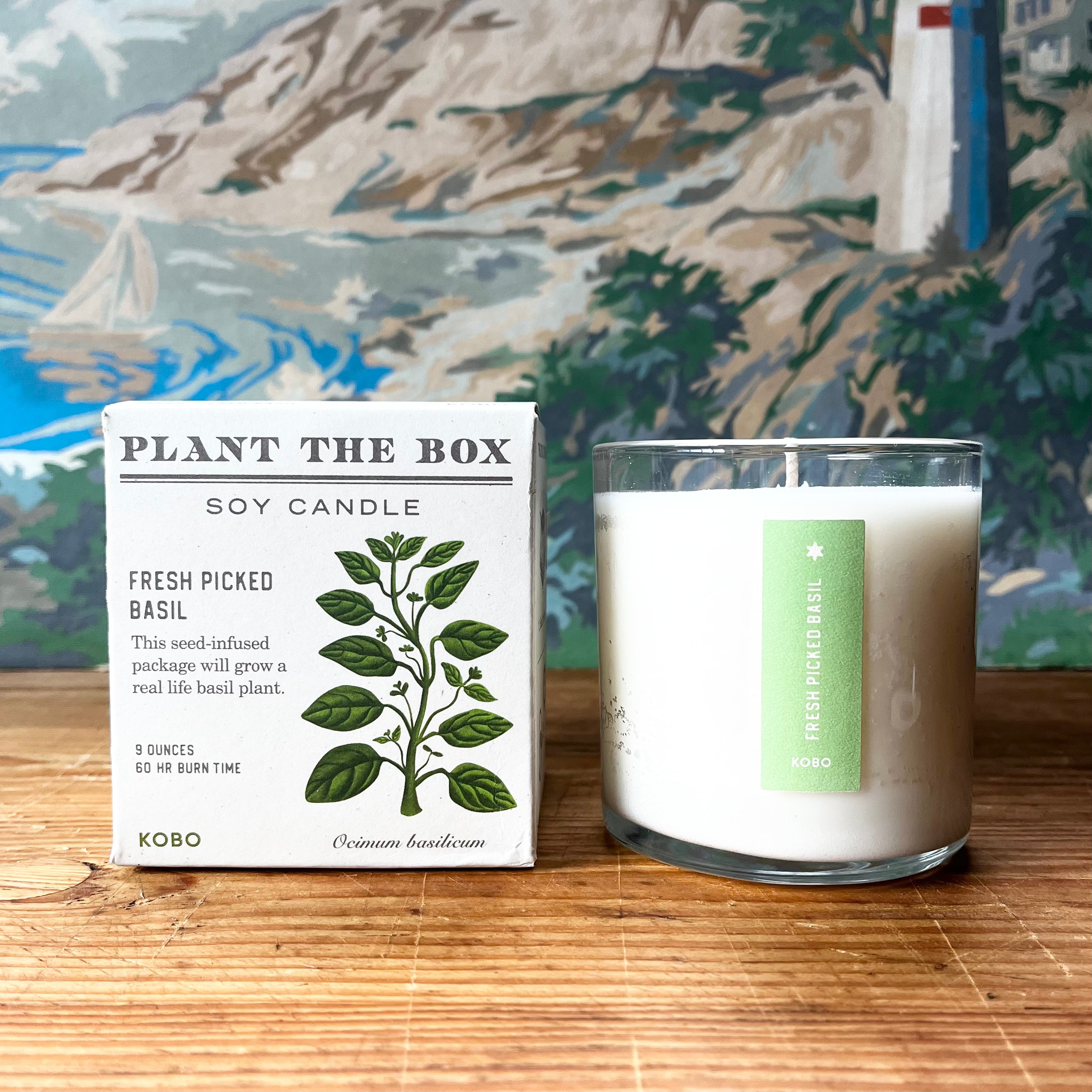 PLANT THE BOX  Candle