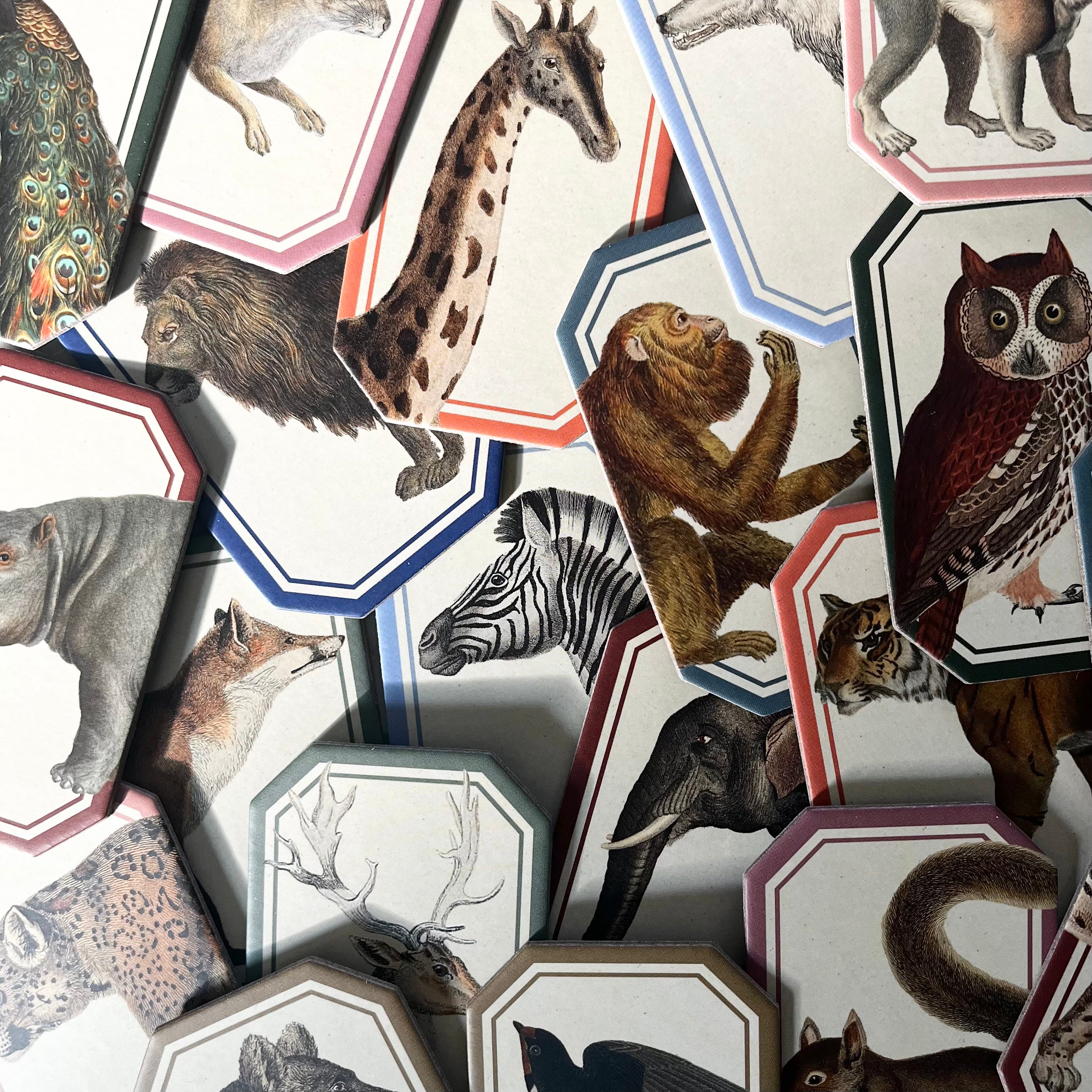 Memory Game : Animal Kingdom