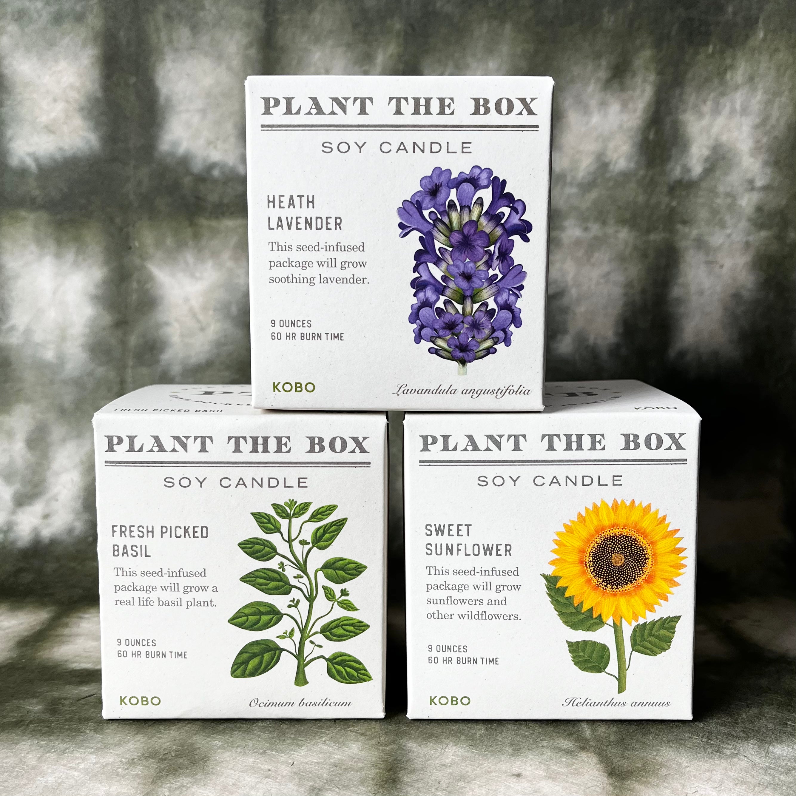 PLANT THE BOX Candle : Basil