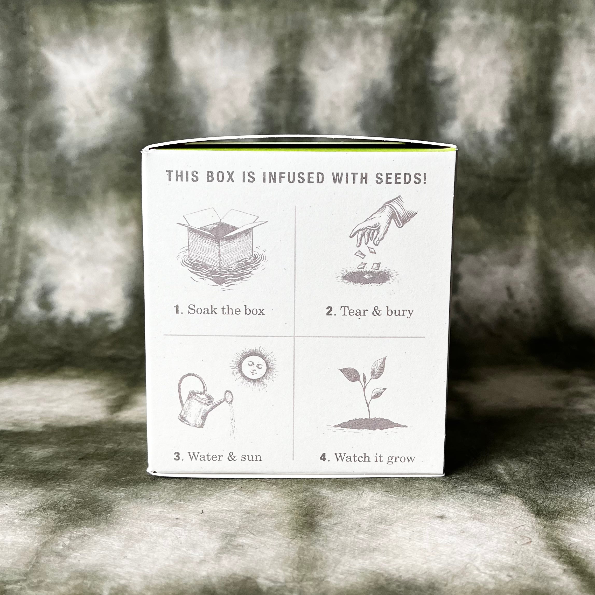 PLANT THE BOX Candle : Basil