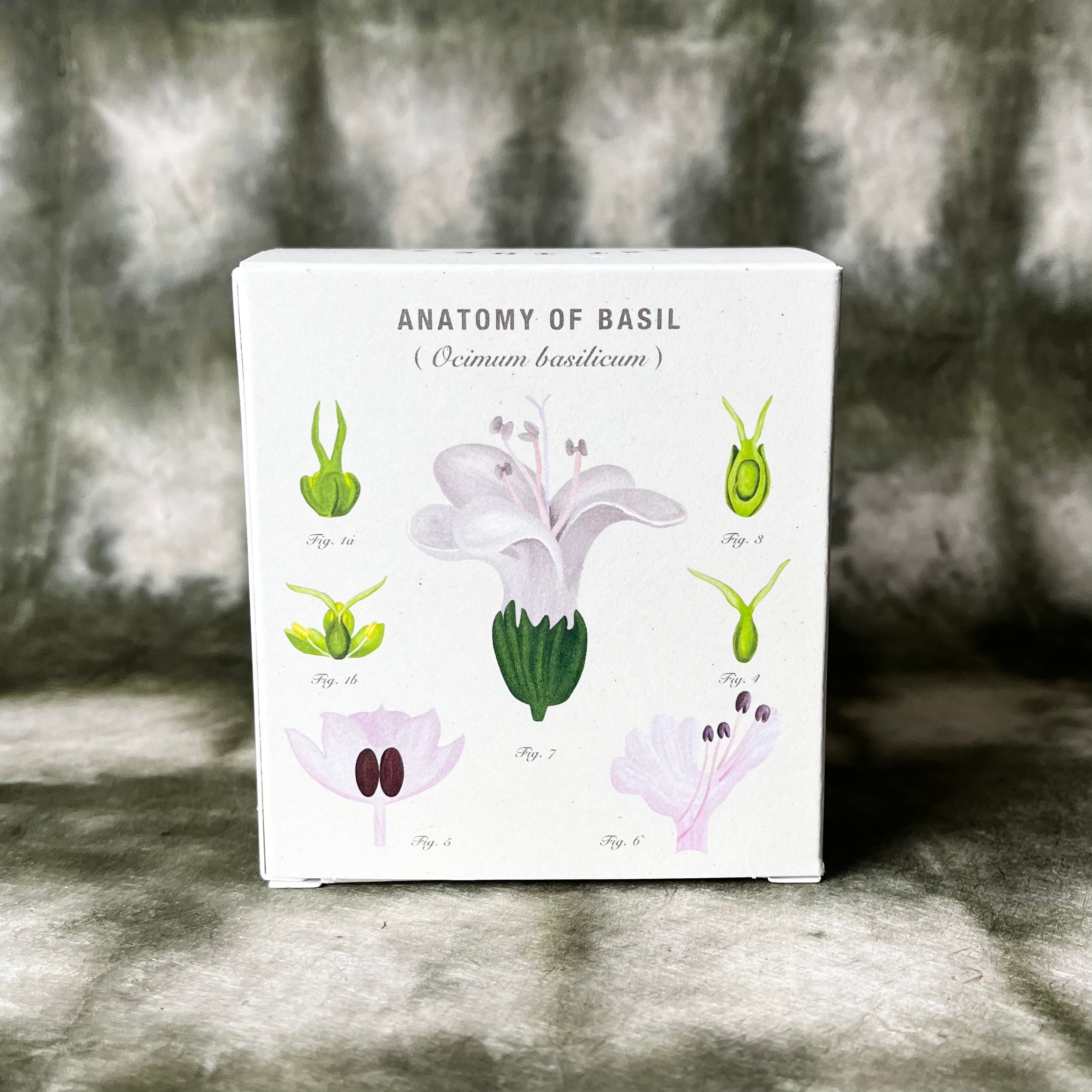 PLANT THE BOX Candle : Basil