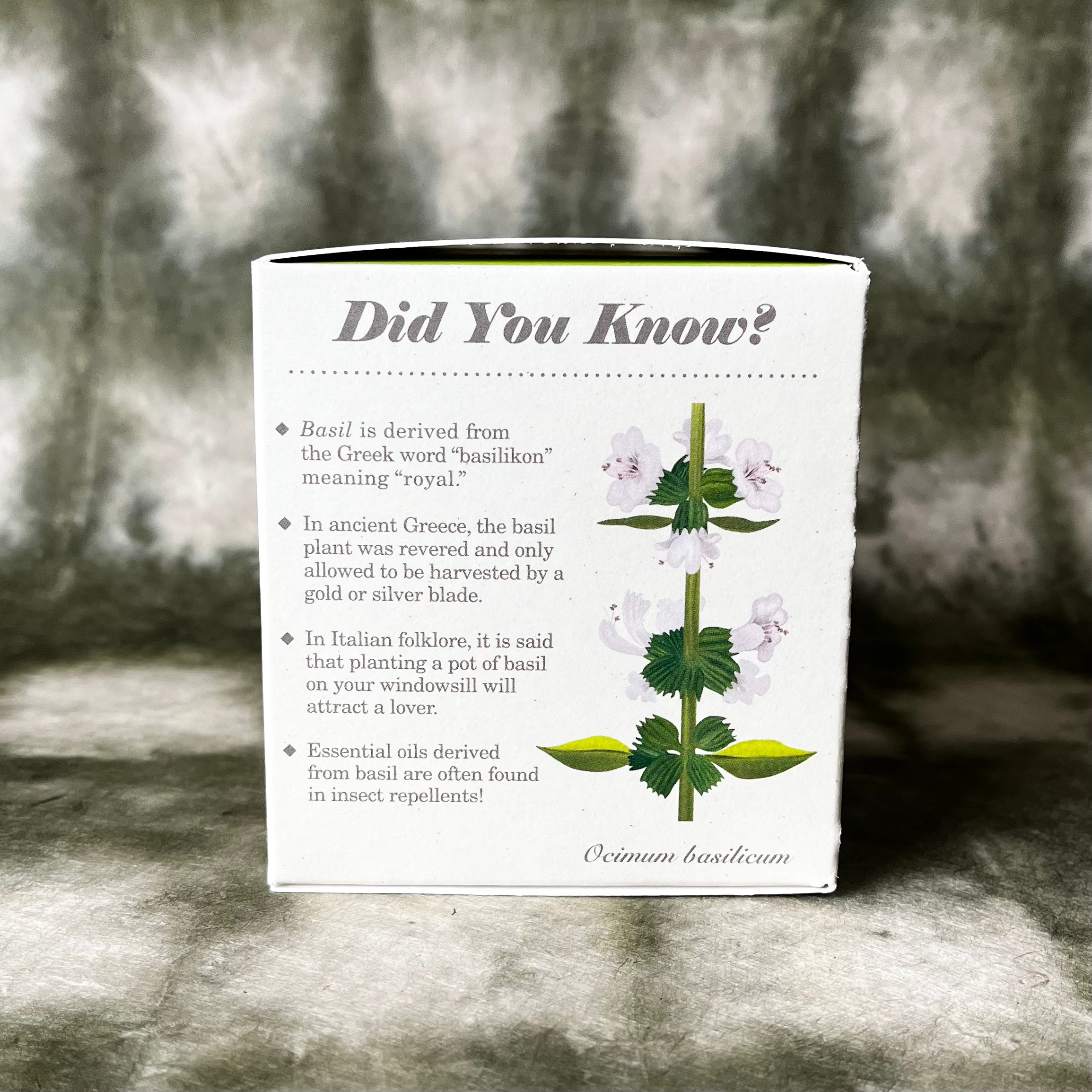 PLANT THE BOX Candle : Basil