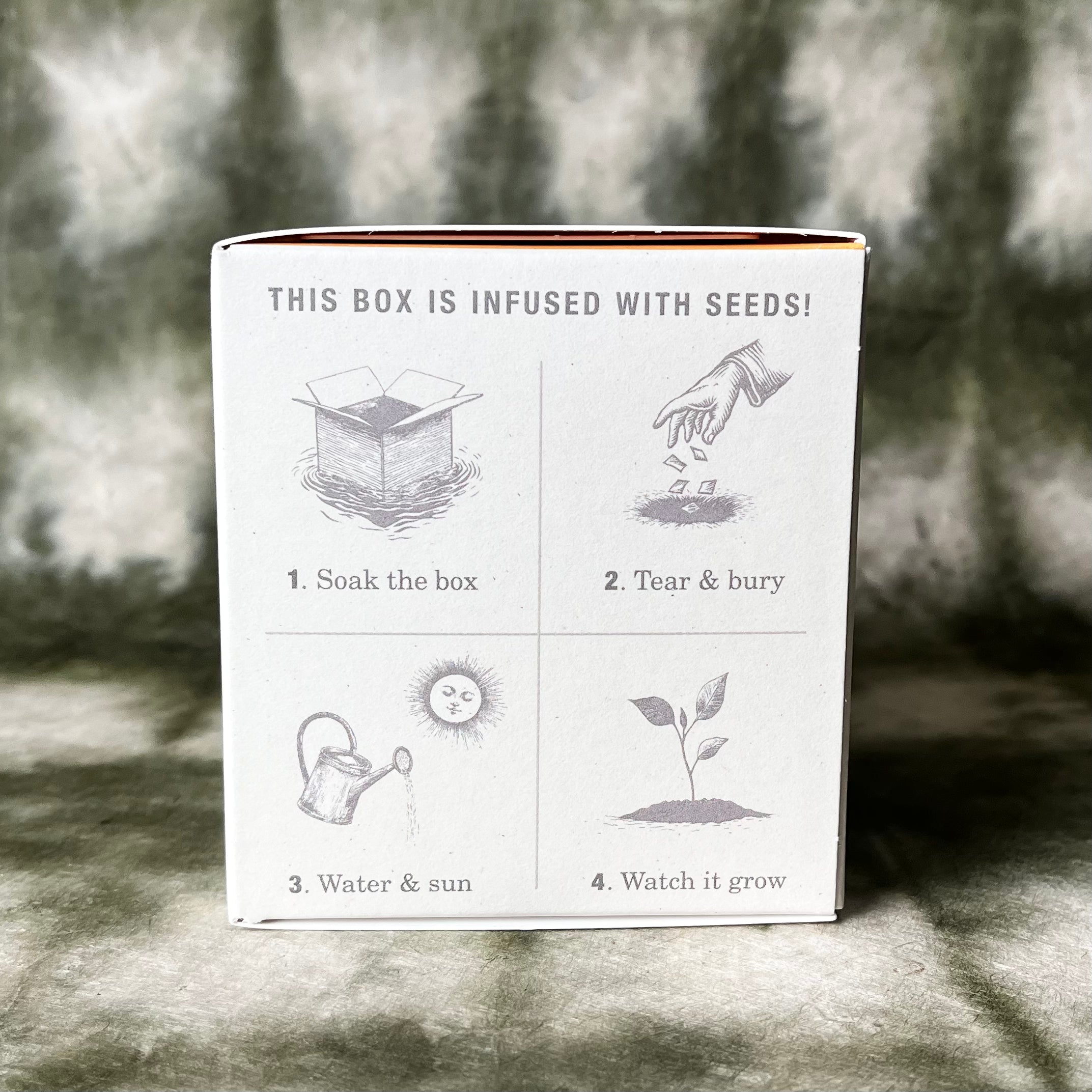 PLANT THE BOX : Sunflower