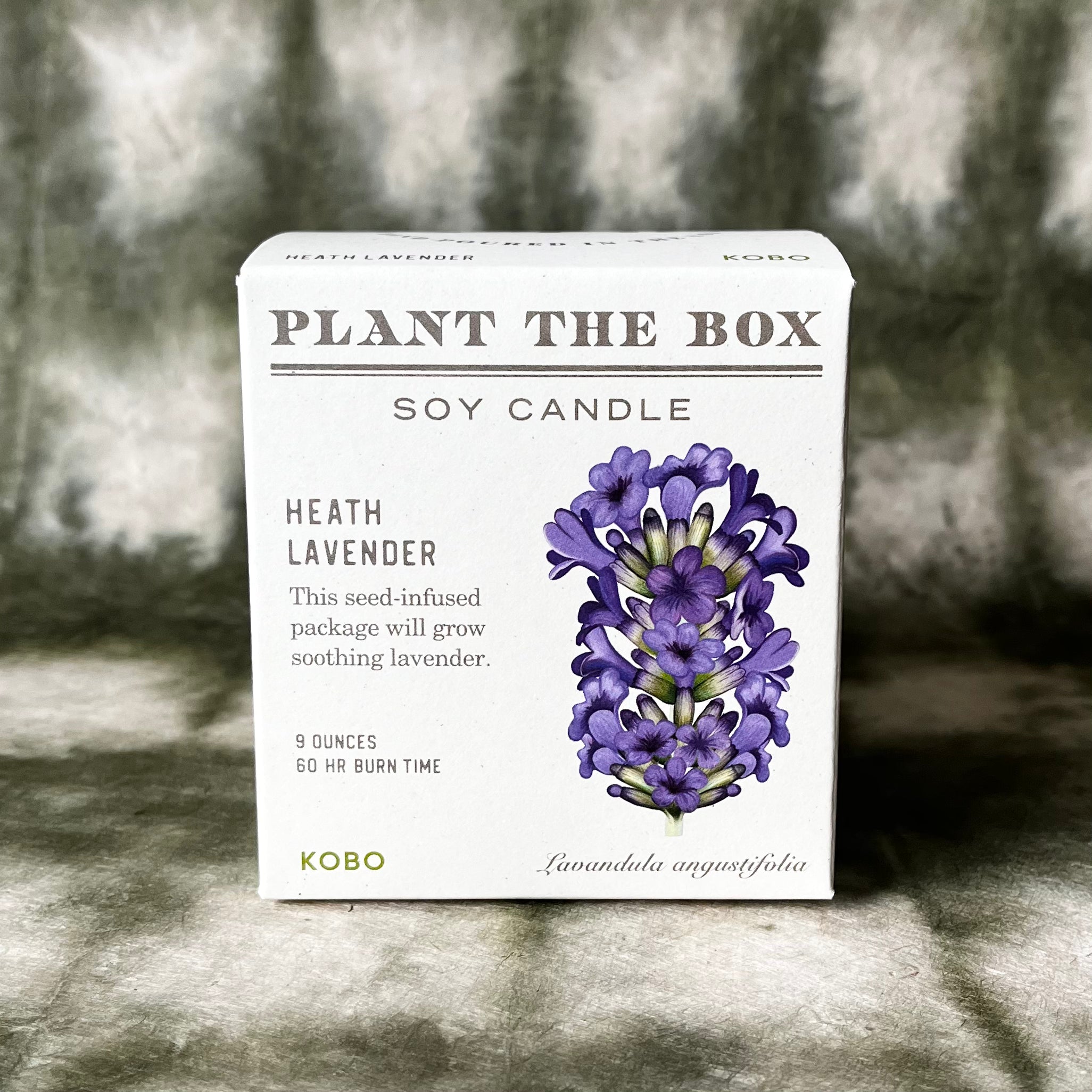 lavender plant box PLANT THE BOX Candle : Lavender