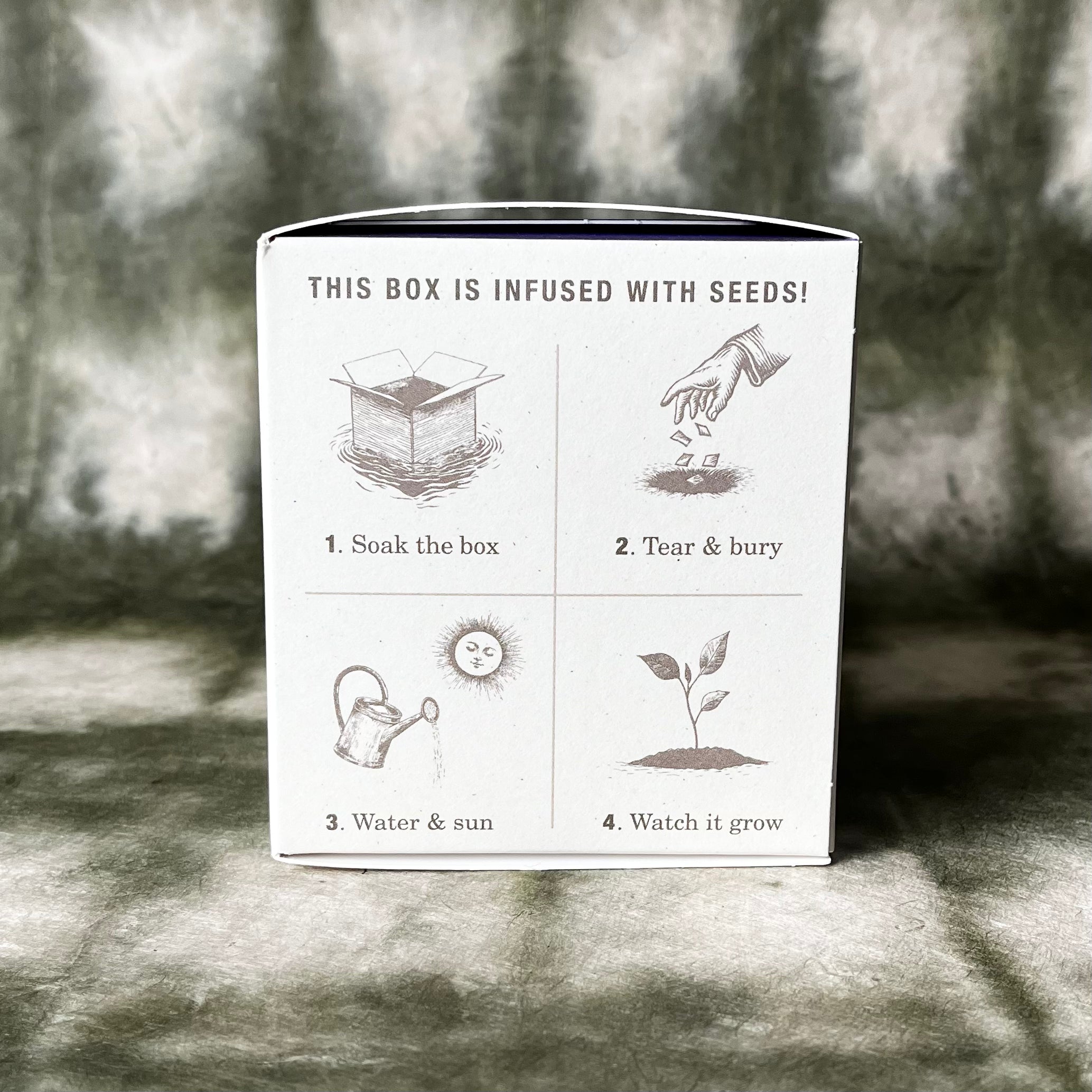PLANT THE BOX  Candle : Lavender