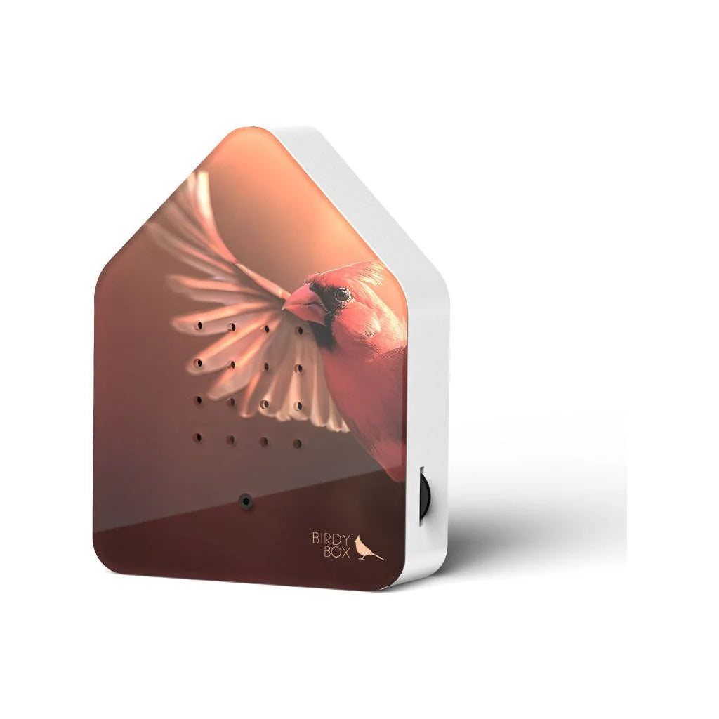 Cardinal Sounds Box